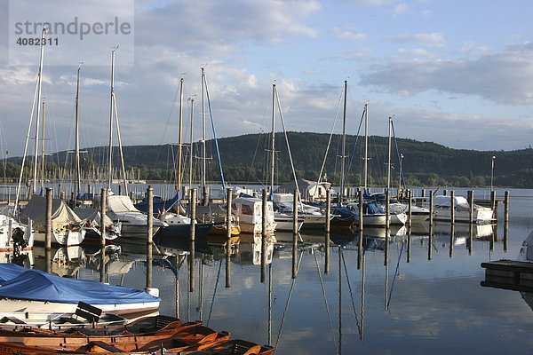 Bootshafen im Morgenlicht  Bodensee  Deutschland