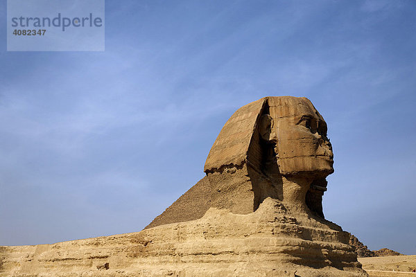 Die grosse Sphinx  Gizeh  Kairo  Äygpten  Afrika