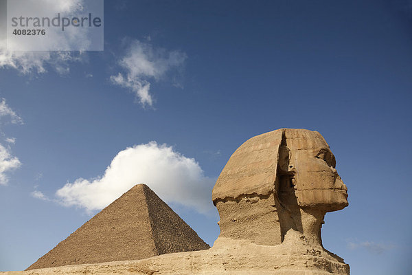 Sphinx in Gizeh  Kairo  Äygpten  Nordafrika  Afrika