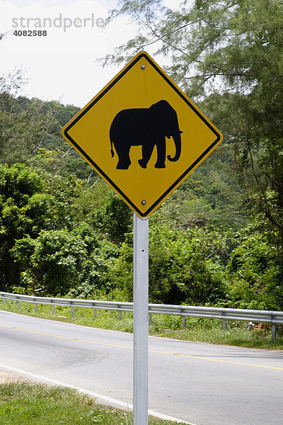 Hinweisschild: Elefanten kreuzen die Strasse  Phuket  Thailand
