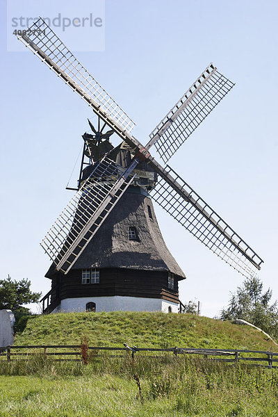 Deutsche Windmühle  Gifhorn  Niedersachsen  Deutschland