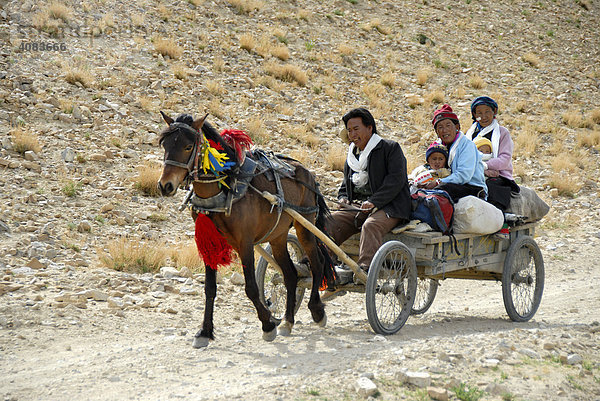 Glückliche tibetische Familie unterwegs mit Pferdekutsche bei Old Tingri Tibet China