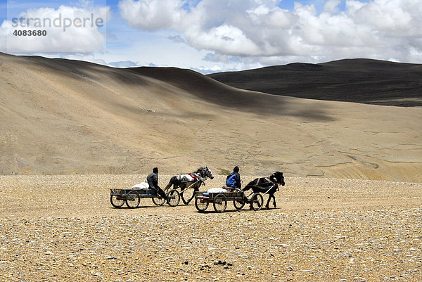 Tibetische Nomaden zwei Männer auf Pferdekutschen in weiter Ödnis Nam-La Pass 5250 m Everest Gebiet Tibet China
