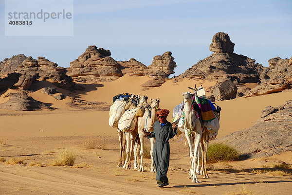 Tuareg führt Kamele durch felsige Wüste Akakus Libyen