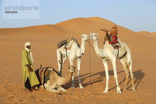 Tuareg steht bei Kamelen im Wüstensand Mandara Libyen