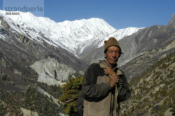 Mann schleppt Äste Tal des Khangsar Khola mit eisbedeckten Bergen Grand Barrier Annapurna Region Nepal