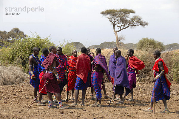 Massai Männer mit bunten Umhängen stehen zusammen in der Savanne Amboseli Nationalpark Kenia