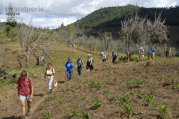 Gruppe Wanderer unterwegs in den Usambara Bergen Tansania