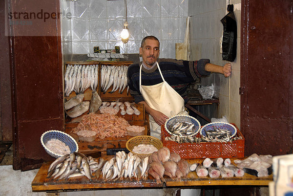 Fischverkäufer Medina Fes El Bali Marokko