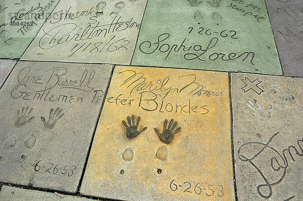 Walk of Fame  Hollywood  Los Angeles  USA