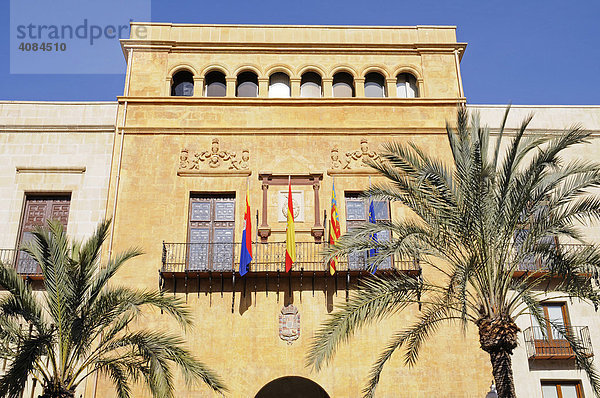Rathaus  Palmen  Elche  Elx  Alicante  Costa Blanca  Spanien