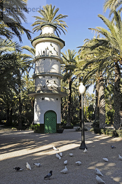 Taubenturm  Palmen  Stadtpark  Elche  Elx  Alicante  Costa Blanca  Spanien