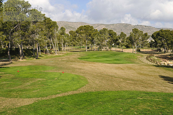 Golfplatz  Benidorm  Alicante  Costa Blanca  Spanien