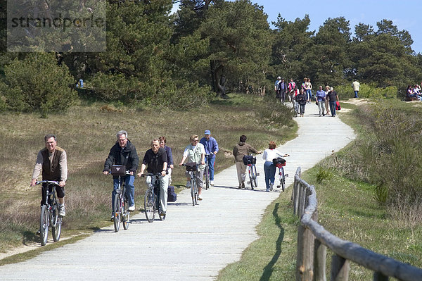 Insel Hiddensee Mecklenburg Vorpommern Deutschland Fahrrad Weg mit Wanderer und Radfahrer zum Leuchtturm auf dem Schluckswiek