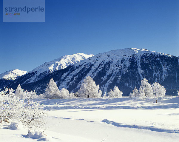 Engadin Schweiz Winter Raureif