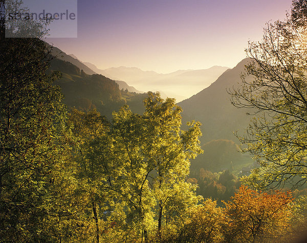 Herbst bei Schloss Aigle im Rhonetal Kanton Wallis Schweiz