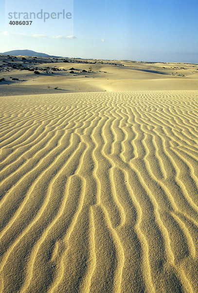 Fuerteventura Kanarische Inseln Spanien El Jable bei Corralejo Naturpark mit Sanddünen
