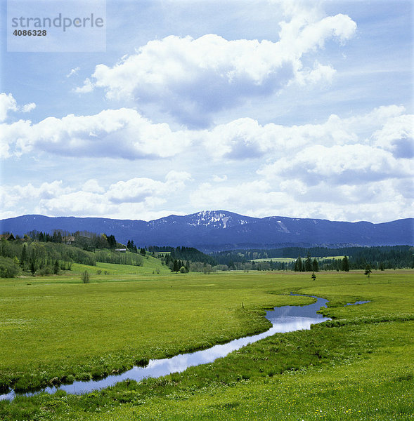 Moorlandschaft bei Wildsteig vor den Trauchgauer Bergen Pfaffenwinkel Oberbayern Bayern Deutschland