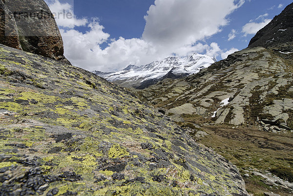 Gran Paradiso Nationalpark zwischen Piemont und Aostatal Italien Grajische Alpen auf der Hochebene dem Plan di Nivolet alter verbindungsweg zum Val Salvaranche