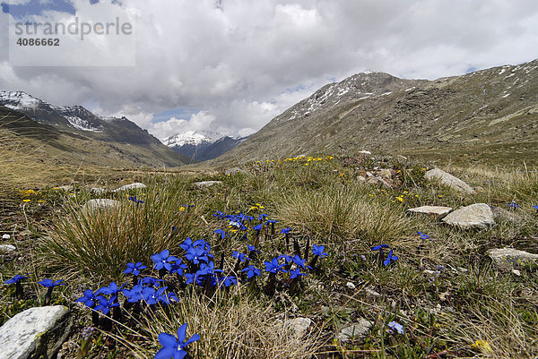 Gran Paradiso Nationalpark zwischen Piemont und Aostatal Italien Grajische Alpen auf der Hochebene dem Plan di Nivolet alter verbindungsweg zum Val Salvaranche