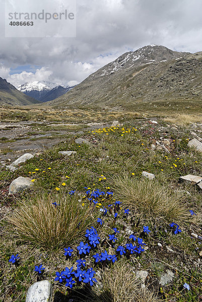 Gran Paradiso Nationalpark zwischen Piemont und Aostatal Italien Grajische Alpen auf der Hochebene dem Plan di Nivolet alter verbindungsweg zum Val Salvaranche