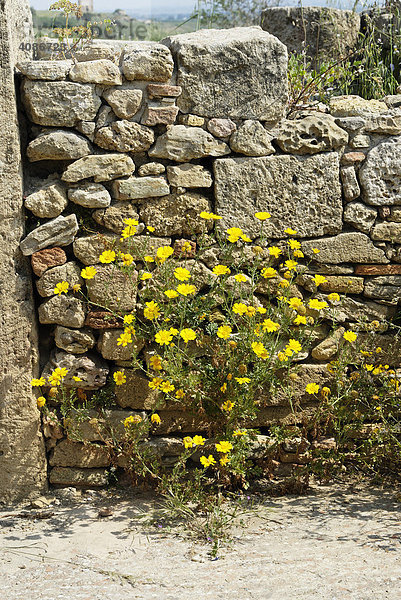 Stadtmauer Selinunt Selinunte Sizilien Italien