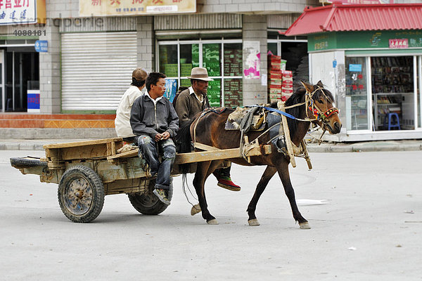 Tibeter mit Pferd- oder Muliwagen  Gyantse  Tibet