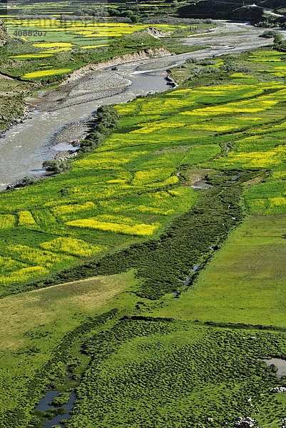 Flusstal  zwischen Gyantse und Dangxiong  Tibet