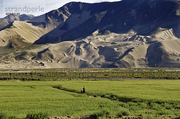 Kahle Berge und Sanddünen  Fahrt von Dangxiong zum Nam-Tso-See  Tibet