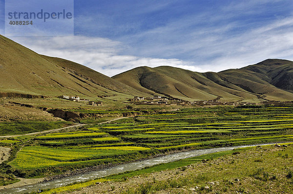 Einsames Dorf mit Bach und Rapsfeldern  Fahrt von Dangxiong zum Nam-Tso-See  Tibet