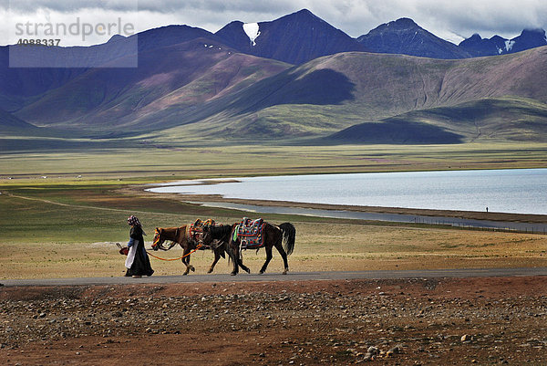 Tibetische Frauen mit Pferden  Nam-Tsho-See  höchster See der Welt  4718m  Tibet  Asien