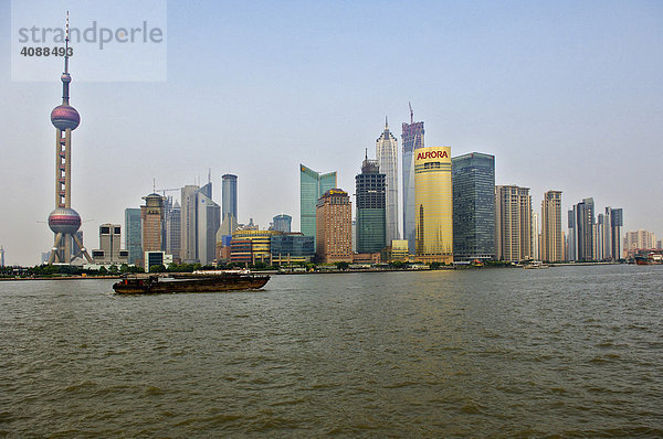 Pudong mit Oriental Pearl Tower  Shanghai  China  Asien