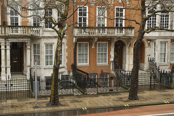 Viktorianische Hauseingänge  Bäume und Gehsteig  London  England  Großbritannien  Europa