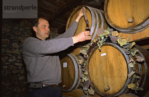 Verkostung von Zlahtina-Wein in Vrbnik  Insel Krk  Kroatien
