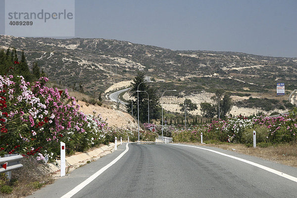 Autobahn mit Oleander (Nerium oleander) auf Zypern  Linksverkehr