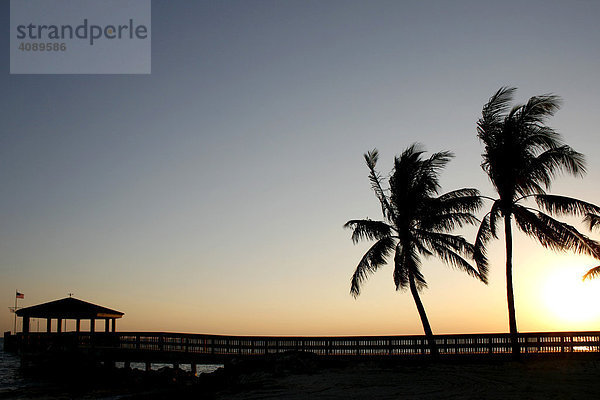 Palmen und Steg am Strand  Key West  Miami  Florida  USA