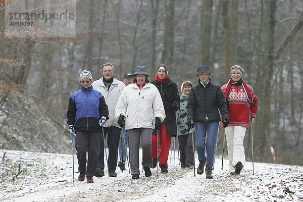 DEU  Bundesrepublik Deutschland  Weinheim  Walkinggruppe im Schnee