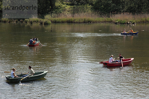 Vier Ruderboote mit Menschen auf dem Berger See  Berger Anlagen  Gelsenkirchen  NRW  Nordrhein Westfalen  Ruhrgebiet  Deutschland