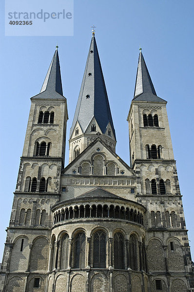 Münsterbasilika St Martin  Bonn  NRW  Nordrhein Westfalen  Deutschland