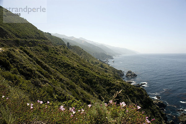 California State Route 1  Big Sur  Kalifornien  USA