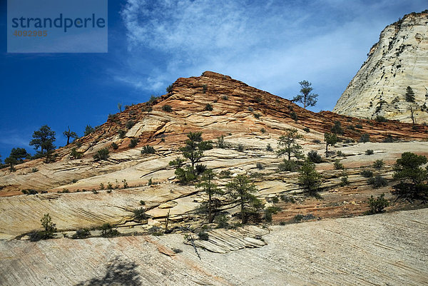 Dünensandstein  Kings Canyon  Sierra Nevada  Kalifornien USA