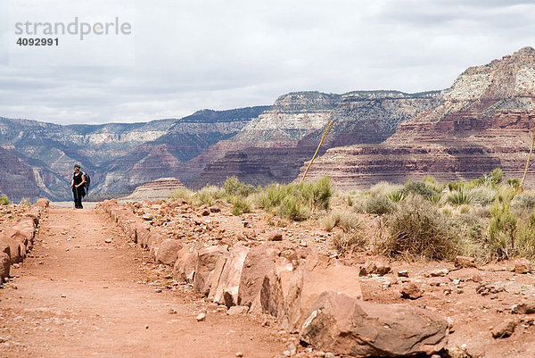 Grand Canyon  Arizona  USA