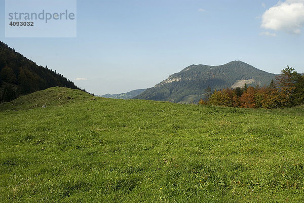 Leere Wiese  Schliersee  Bayern  Deutschland