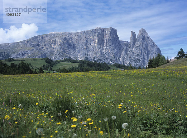 Schlern  Seiser Alm  Südtirol  Italien