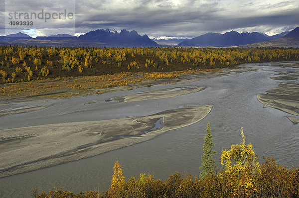 Herbst am Chulitna River Denali State Park Alaska USA