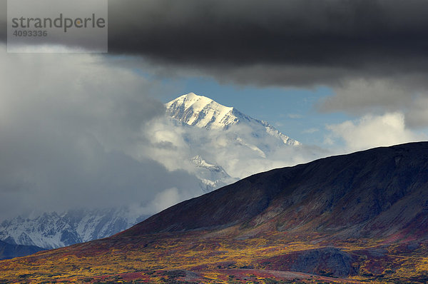 Lichtstimmung in der herbstlich verfärbten Tundra Denali State Park Alaska USA