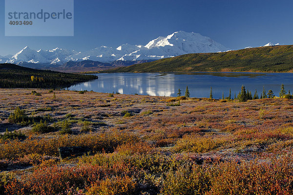 Herbst im Denali Nationalpark Mount McKinley spiegelt sich im Wonderlake   Alaska   USA