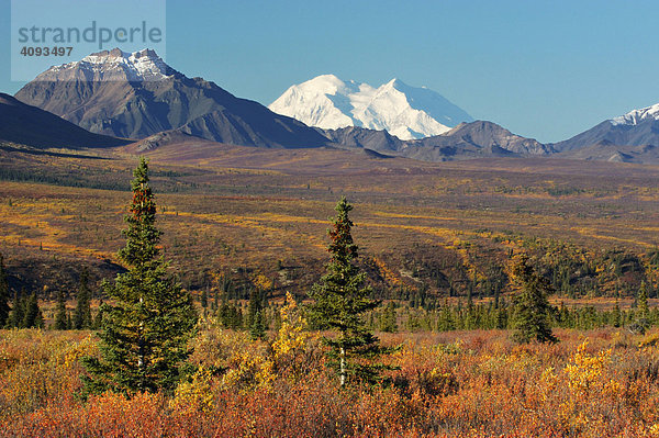 Herbst im Denali Nationalpark Alaska   USA