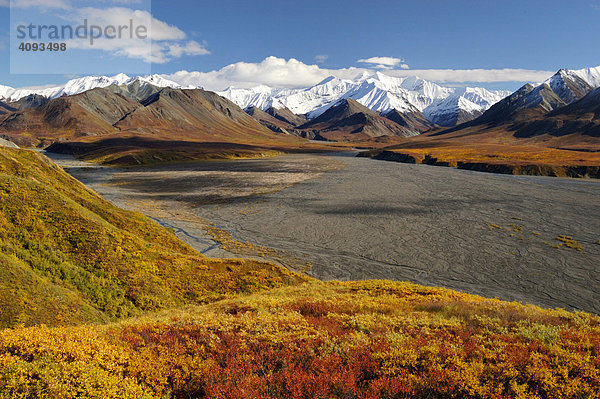 Herbst im Denali Nationalpark Alaska   USA
