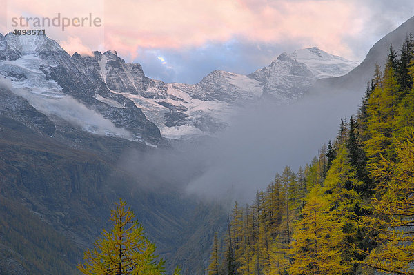 Lichtstimmung   Sonnenaufgang und Morgennebel mit herbstlich verfärbtem Lärchenwald im Nationalpark Gran Paradiso Italien